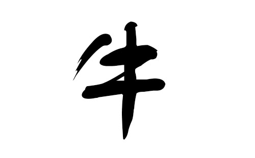 <strong>属牛起名字女适合用的字</strong>